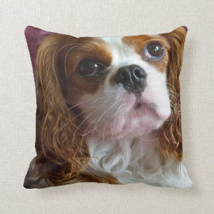 Cavalier King Charles Spaniel kussenkussenkussens Kussen