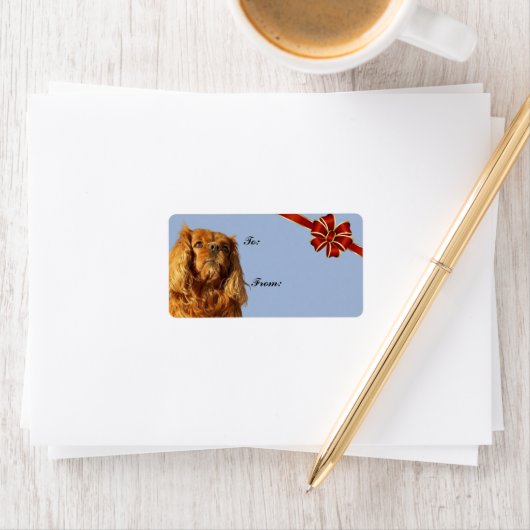 Cavalier King Charles Spaniel Label kerstcadeau (Insitu)