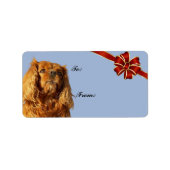 Cavalier King Charles Spaniel Label kerstcadeau (Voorkant)
