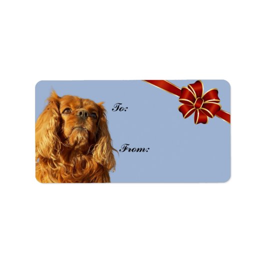 Cavalier King Charles Spaniel Label kerstcadeau (Voorkant)
