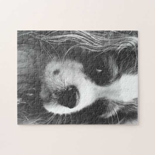 Cavalier King Charles Spaniel Legpuzzel (Horizontaal)