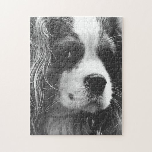 Cavalier King Charles Spaniel Legpuzzel (Verticaal)