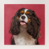 Cavalier King Charles Spaniel Legpuzzel (Verticaal)