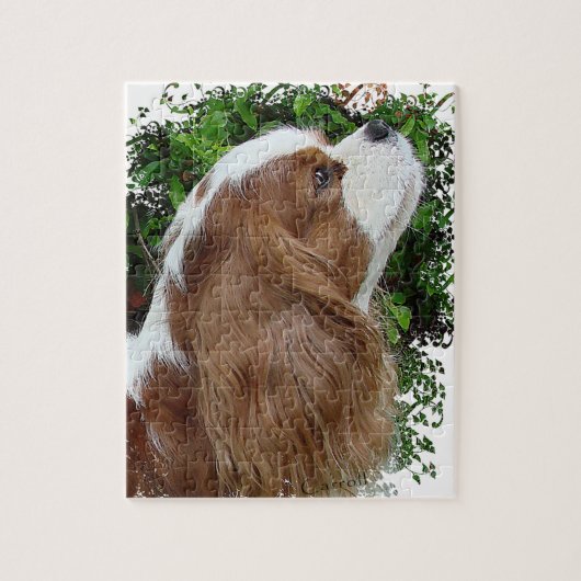 Cavalier King Charles Spaniel Legpuzzel (Verticaal)