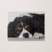 Cavalier King Charles Spaniel Legpuzzel (Horizontaal)