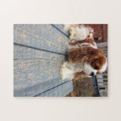 Cavalier King Charles Spaniel Legpuzzel (Horizontaal)