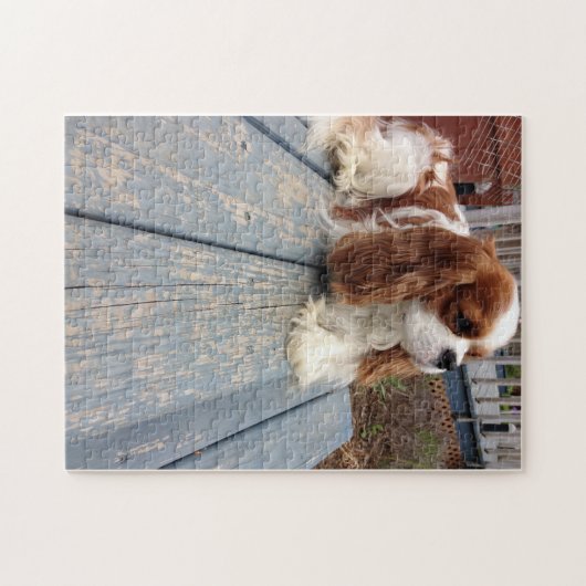 Cavalier King Charles Spaniel Legpuzzel (Horizontaal)
