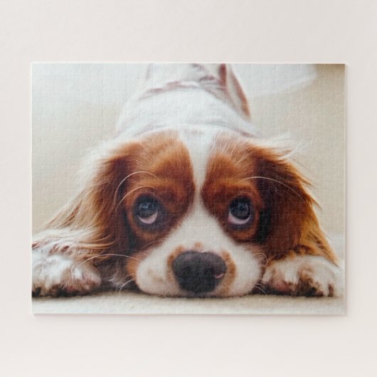 Cavalier King Charles Spaniel Legpuzzel (Horizontaal)