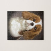 Cavalier King Charles Spaniel Legpuzzel (Horizontaal)