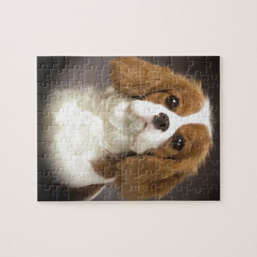 Cavalier King Charles Spaniel Legpuzzel (Horizontaal)