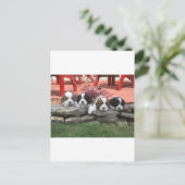 Cavalier King Charles Spaniel Litter Briefkaart (Staand voorkant)