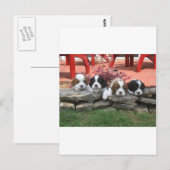 Cavalier King Charles Spaniel Litter Briefkaart (Voorkant / Achterkant)