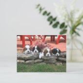 Cavalier King Charles Spaniel Litter Briefkaart (Staand voorkant)