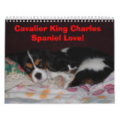 Cavalier King Charles Spaniel Love. - Gepersonalis Kalender (Hoes)