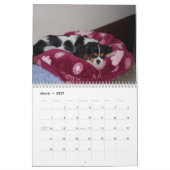 Cavalier King Charles Spaniel Love. - Gepersonalis Kalender (Mar 2027)