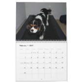 Cavalier King Charles Spaniel Love. - Gepersonalis Kalender (Feb 2027)