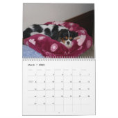 Cavalier King Charles Spaniel Love. Kalender (Mar 2026)
