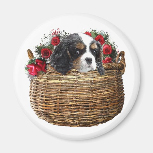 Cavalier King Charles Spaniel Magneet (Voorkant)