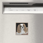 Cavalier King Charles Spaniel Magnet - "Bella" (Insitu (Vaatwasser))