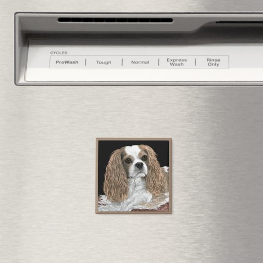 Cavalier King Charles Spaniel Magnet - "Bella" (Insitu (Vaatwasser))