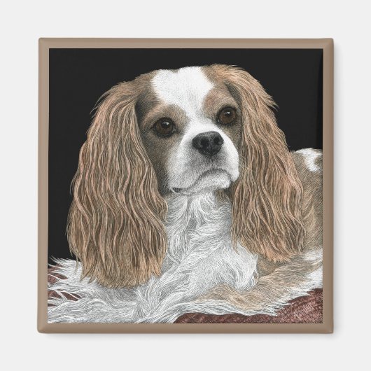 Cavalier King Charles Spaniel Magnet - "Bella" (Voorkant)