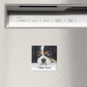 Cavalier King Charles Spaniel Magnet Tri (Insitu (Vaatwasser))