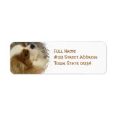 Cavalier King Charles Spaniel Mailing Label (Voorkant)