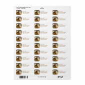 Cavalier King Charles Spaniel Mailing Label (Full Sheet)