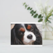 Cavalier King Charles Spaniel mama Briefkaart (Staand voorkant)