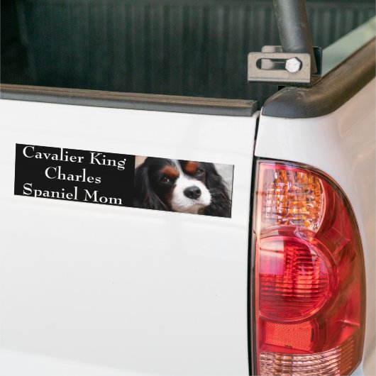 Cavalier King Charles Spaniel mama Bumpersticker (Op Truck)
