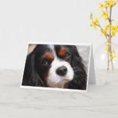 Cavalier King Charles Spaniel mama Kaart (Gele Bloem)