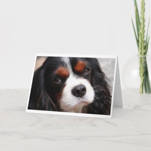 Cavalier King Charles Spaniel mama Kaart (Voorkant)