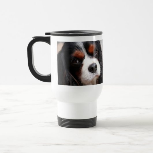 Cavalier King Charles Spaniel mama Reisbeker (Links)