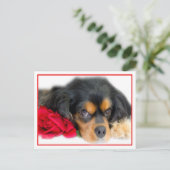 Cavalier King Charles Spaniel Met Een Roos Ansicht Briefkaart (Staand voorkant)