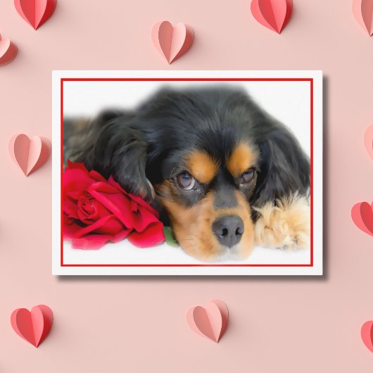 Cavalier King Charles Spaniel Met Een Roos Ansicht Briefkaart