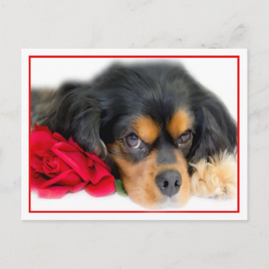 Cavalier King Charles Spaniel met een Roos Briefka Briefkaart (Voorkant)