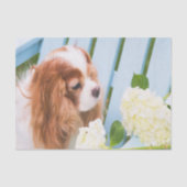 Cavalier King Charles Spaniel met Hydrangeas Tissuepapier (Voorkant)