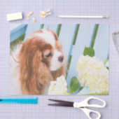 Cavalier King Charles Spaniel met Hydrangeas Tissuepapier (Craft)