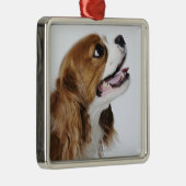 Cavalier King Charles Spaniel Metalen Ornament (Rechts)