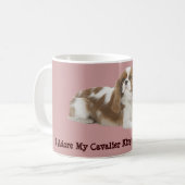 Cavalier King Charles Spaniel Mok (Voorkant links)