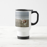 Cavalier King Charles Spaniel Mok