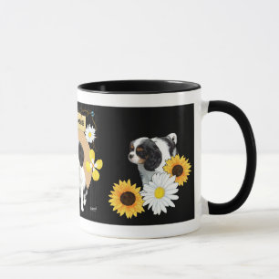 Cavalier King Charles Spaniel Mok