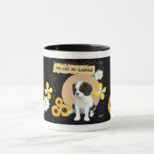Cavalier King Charles Spaniel Mok (Midden)