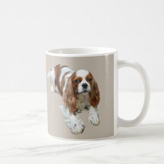 Cavalier King Charles Spaniel Mok (Rechts)