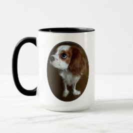 Cavalier King Charles Spaniel Mok