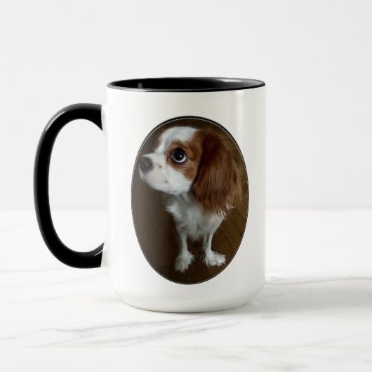 Cavalier King Charles Spaniel Mok (Links)