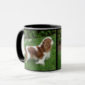 Cavalier King Charles Spaniel Mok (Voorkant links)
