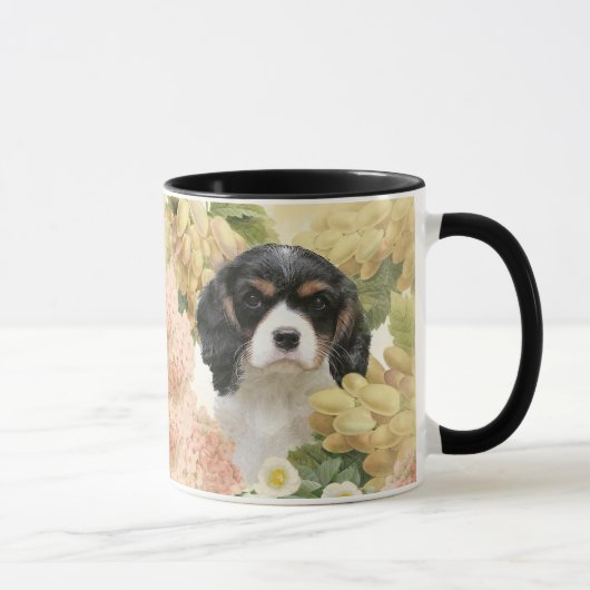 Cavalier King Charles Spaniel Mok (Rechts)