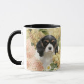 Cavalier King Charles Spaniel Mok (Links)