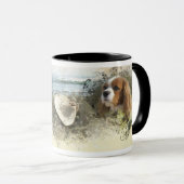 Cavalier King Charles Spaniel Mok (Voorkant rechts)